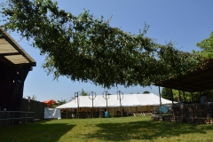 11010966_952842964738462_2576607994621946380_o