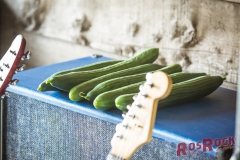 RosRock-5842